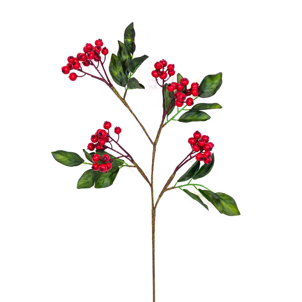 Vermont Currant Red Berry Spray