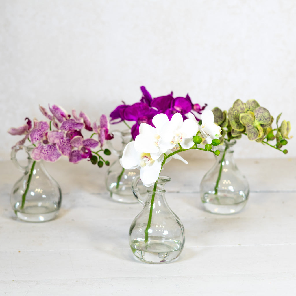 White Phalaenopsis in Glass with Handle