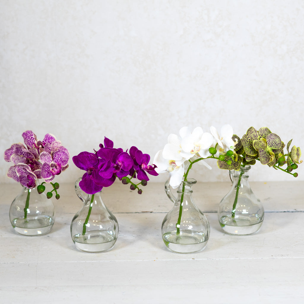 Dark Purple Phalaenopsis in Glass with Handle