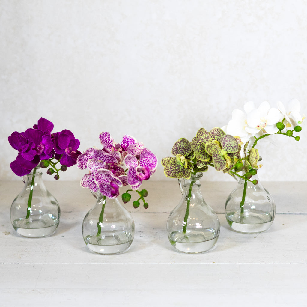 Fuchsia Phalaenopsis in Glass with Handle