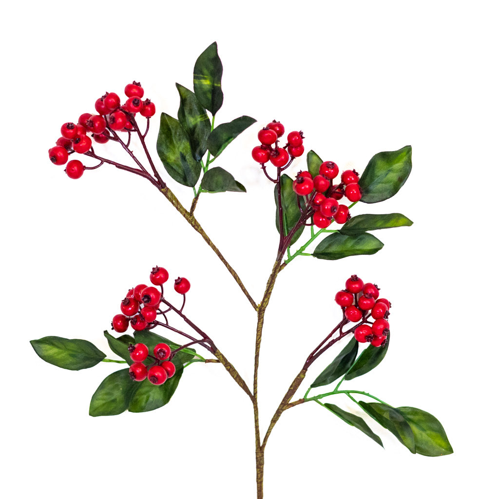 Vermont Currant Red Berry Spray