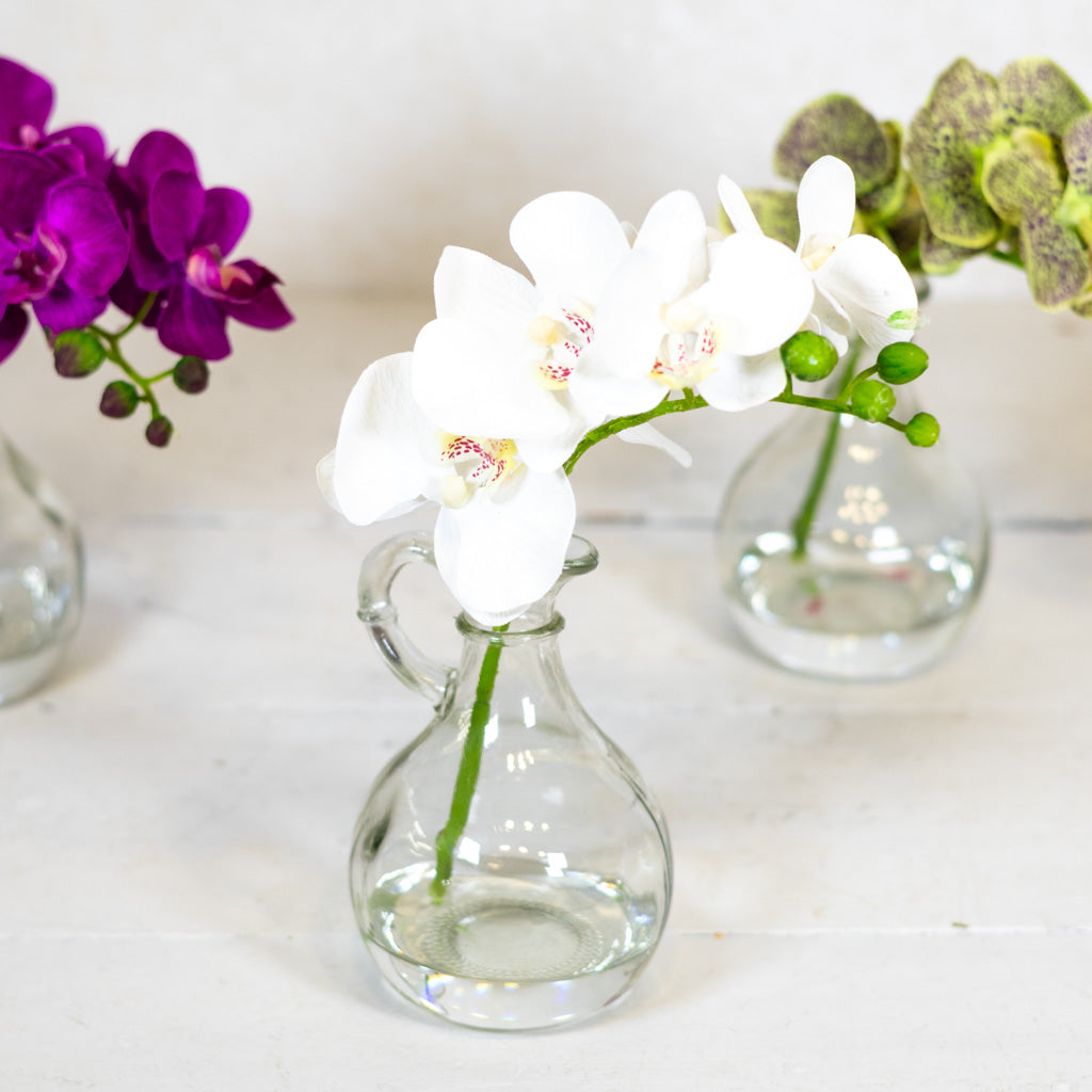 White Phalaenopsis in Glass with Handle