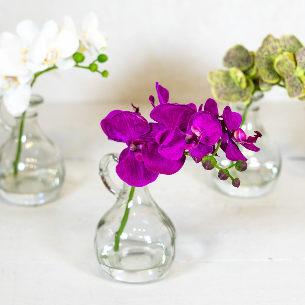 Dark Purple Phalaenopsis in Glass with Handle