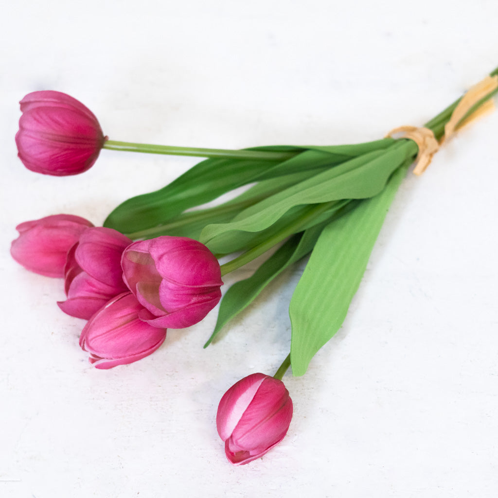 Hot Pink Tulip Bundle of Six