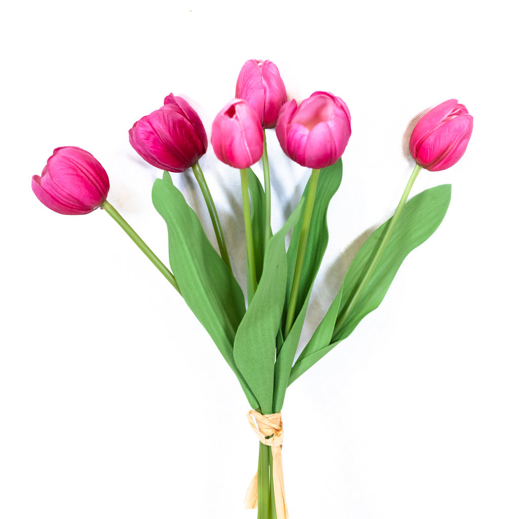 Hot Pink Tulip Bundle of Six