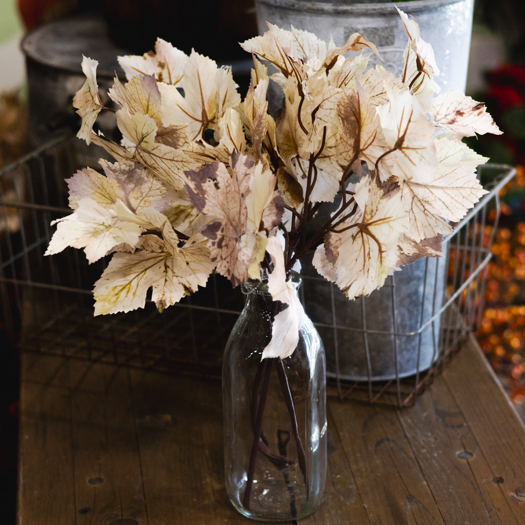 Grape Leaf Cream Brown Spray