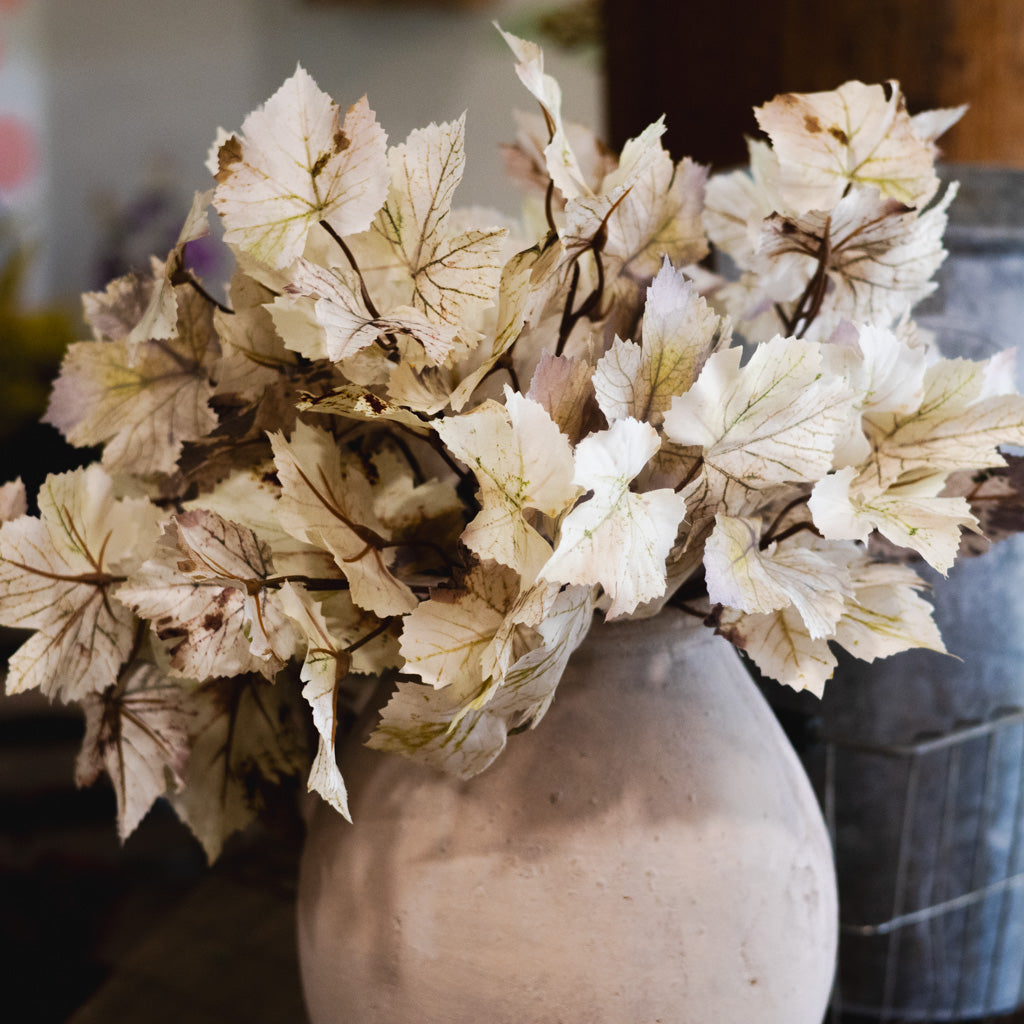 Grape Leaf Cream Brown Spray