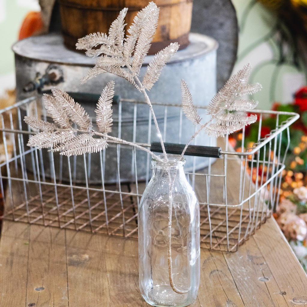 Winter Forest Fern Spray