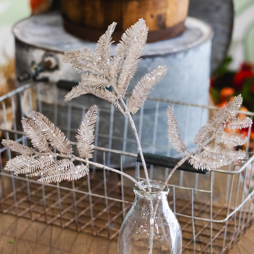 Winter Forest Fern Spray