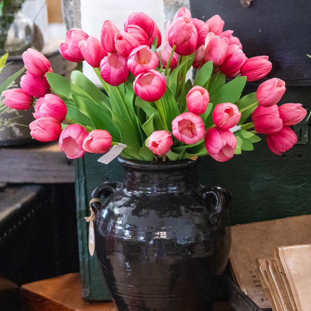 Hot Pink Tulip Bundle of Six