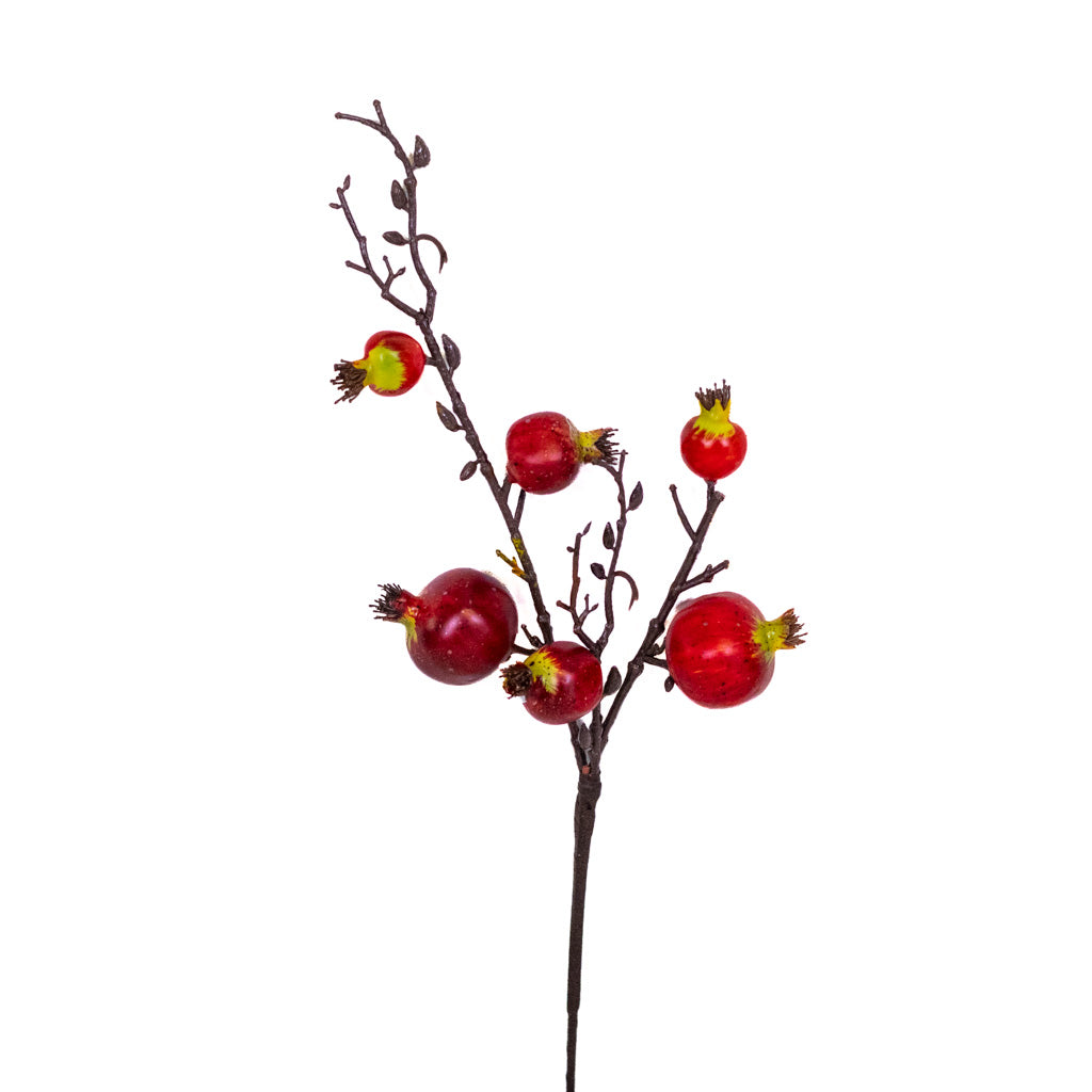 Pomegranate Red Pick