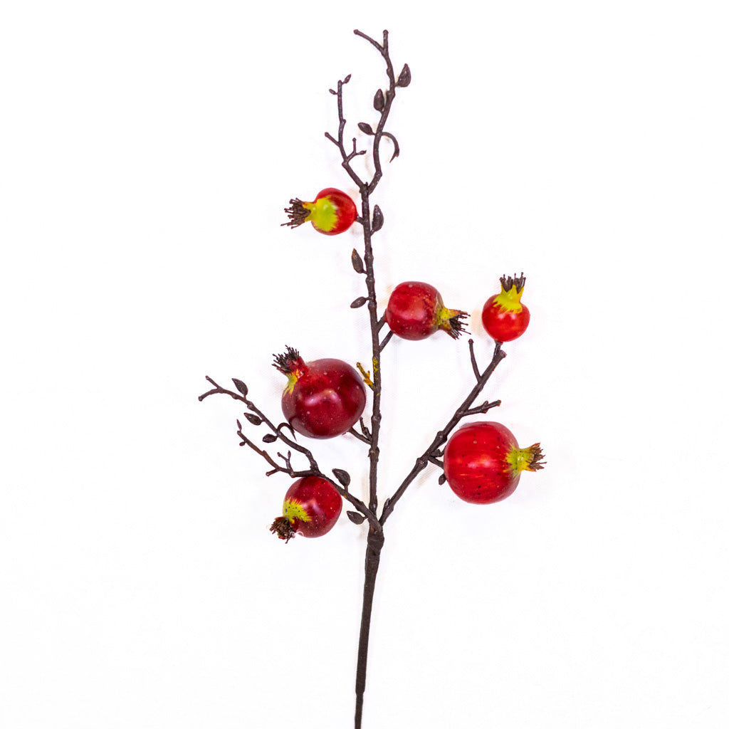 Pomegranate Red Pick