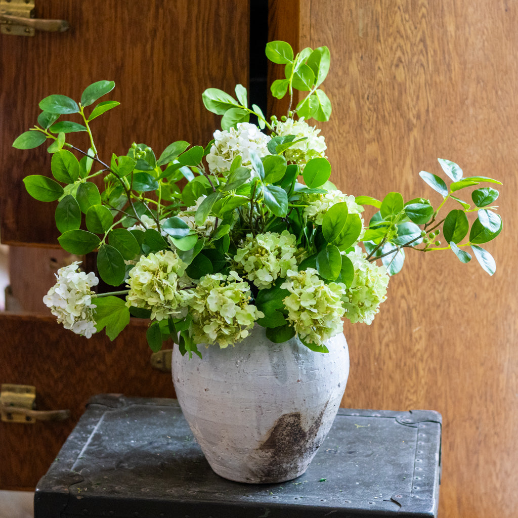 Viburnum Grand Bouquet Drop In