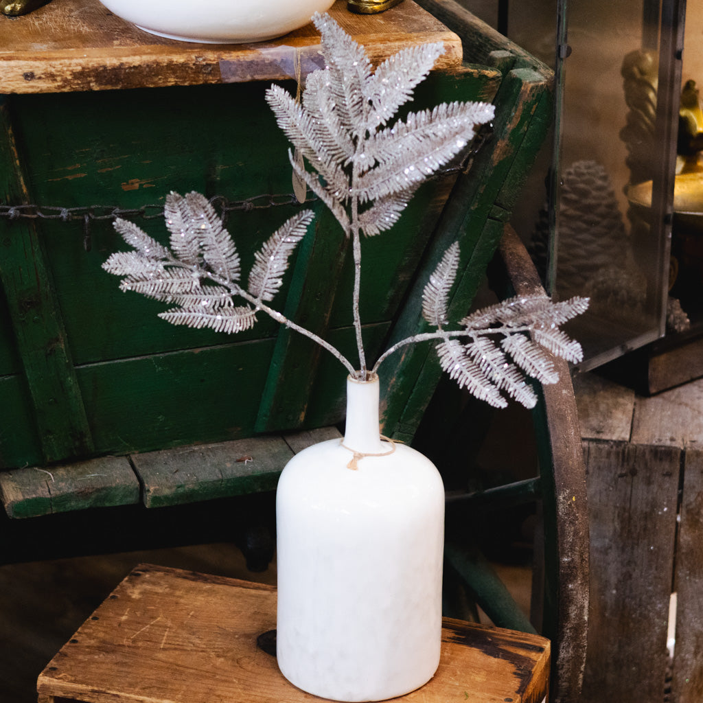 Winter Forest Fern Spray