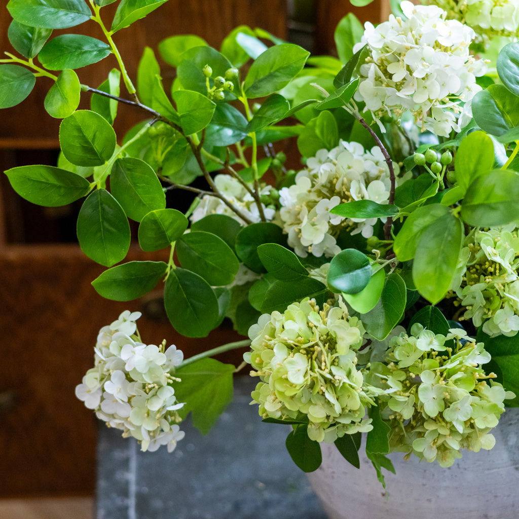 Viburnum Grand Bouquet Drop In