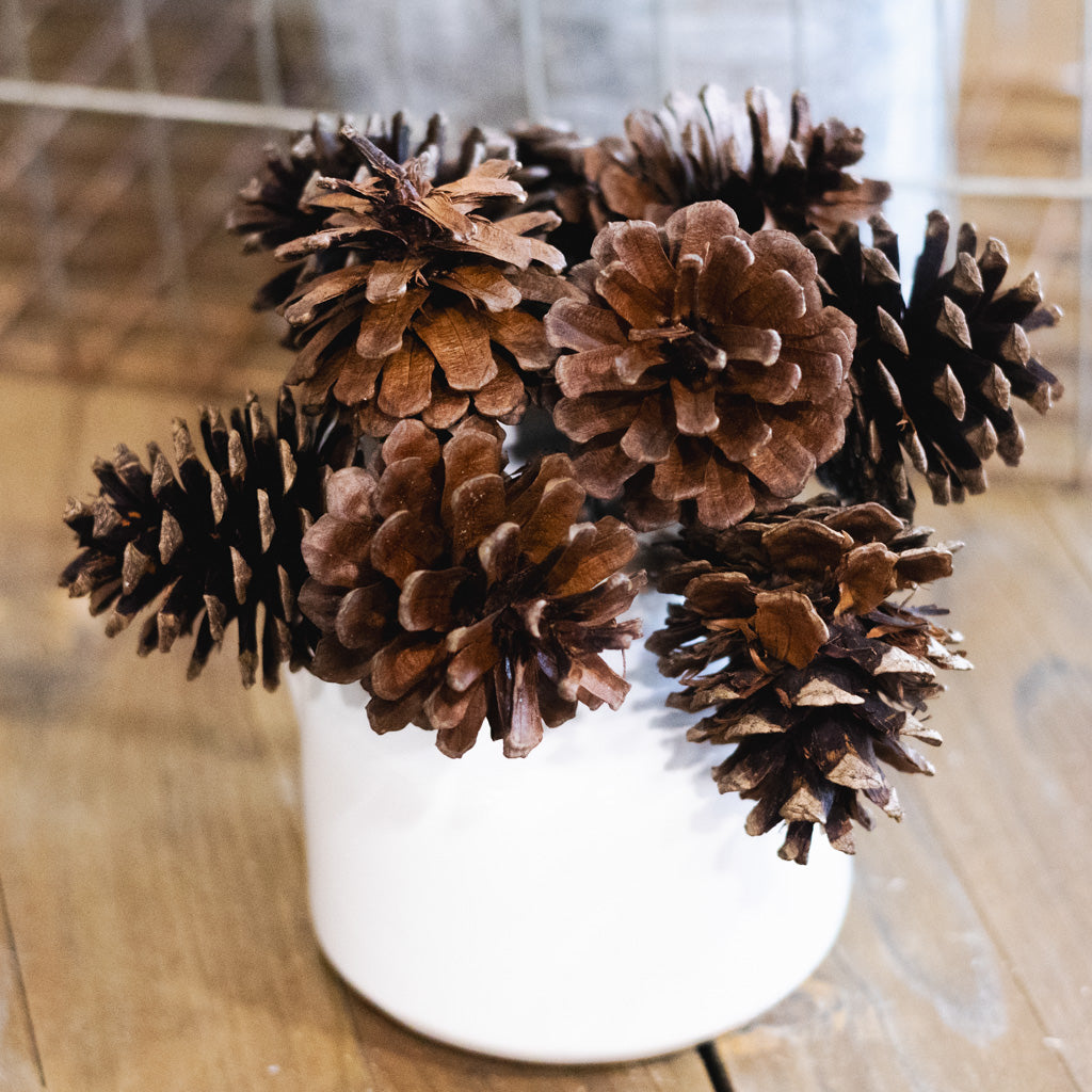 Triple Pine Cone Lacquer Pick