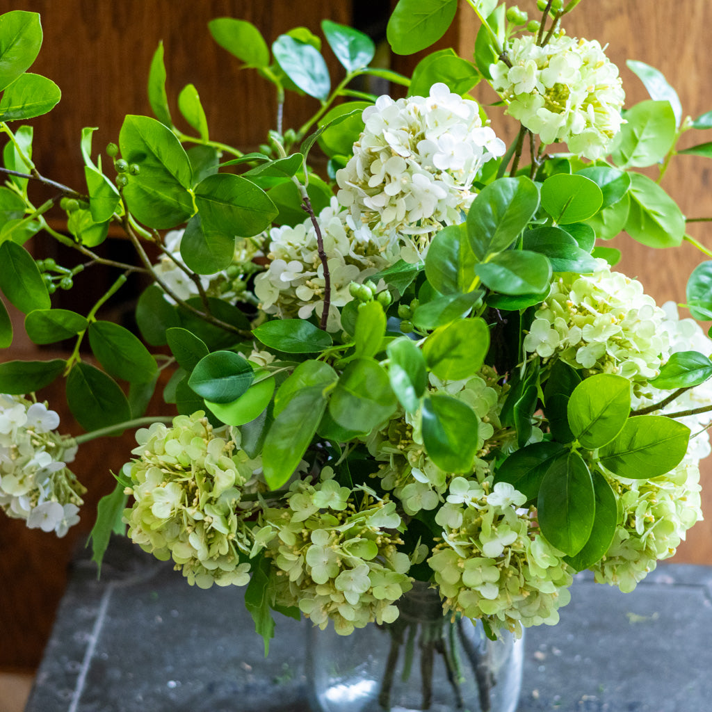 Viburnum Grand Bouquet Drop In