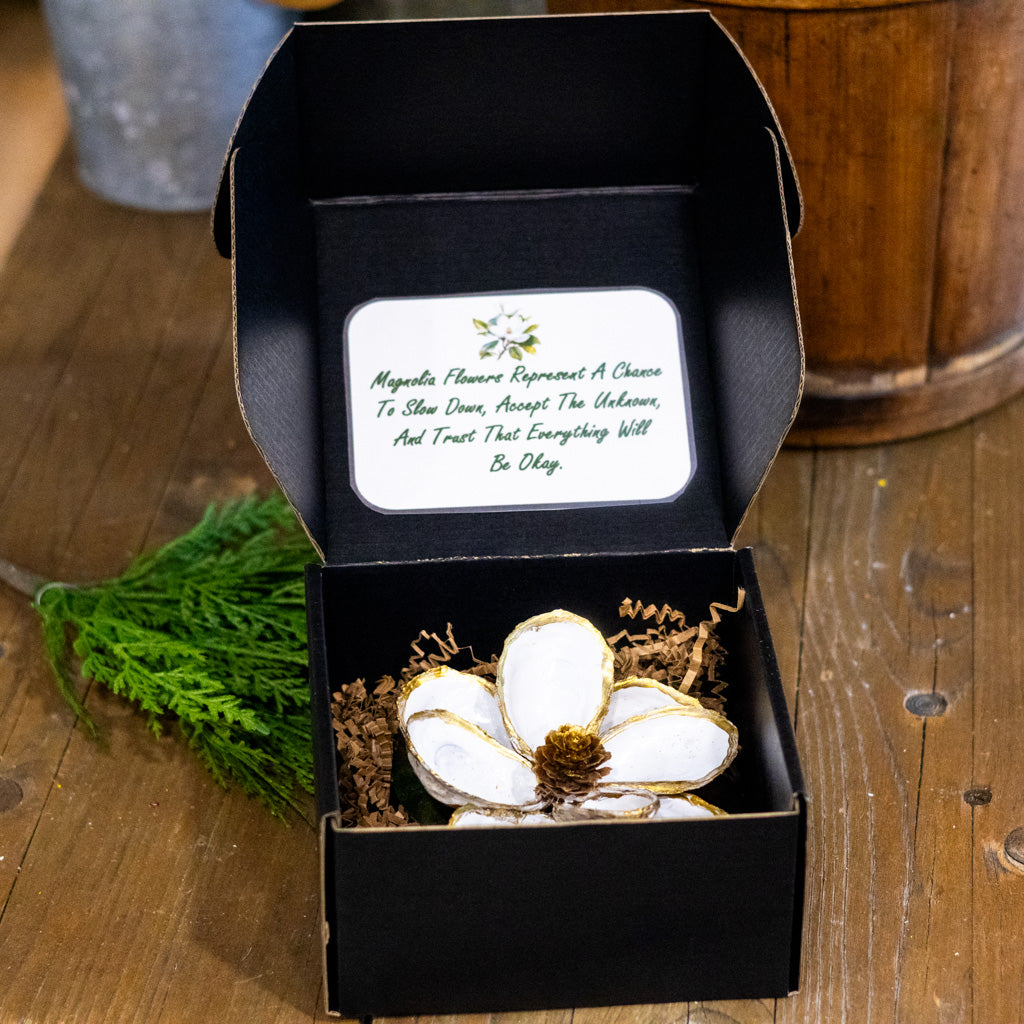 White Oyster Shell Magnolia Flower in Gift Box White