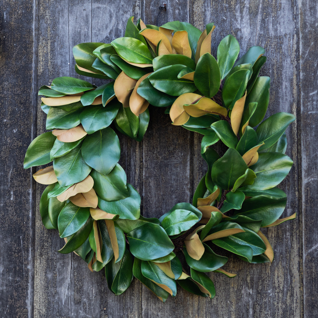 Magnolia Green Wreath
