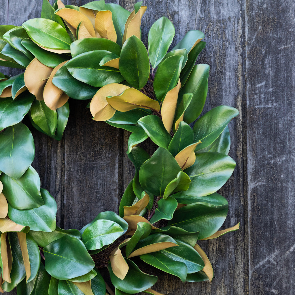 Magnolia Green Wreath