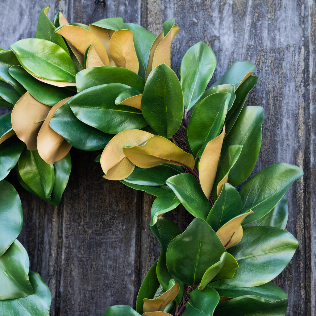 Magnolia Green Wreath