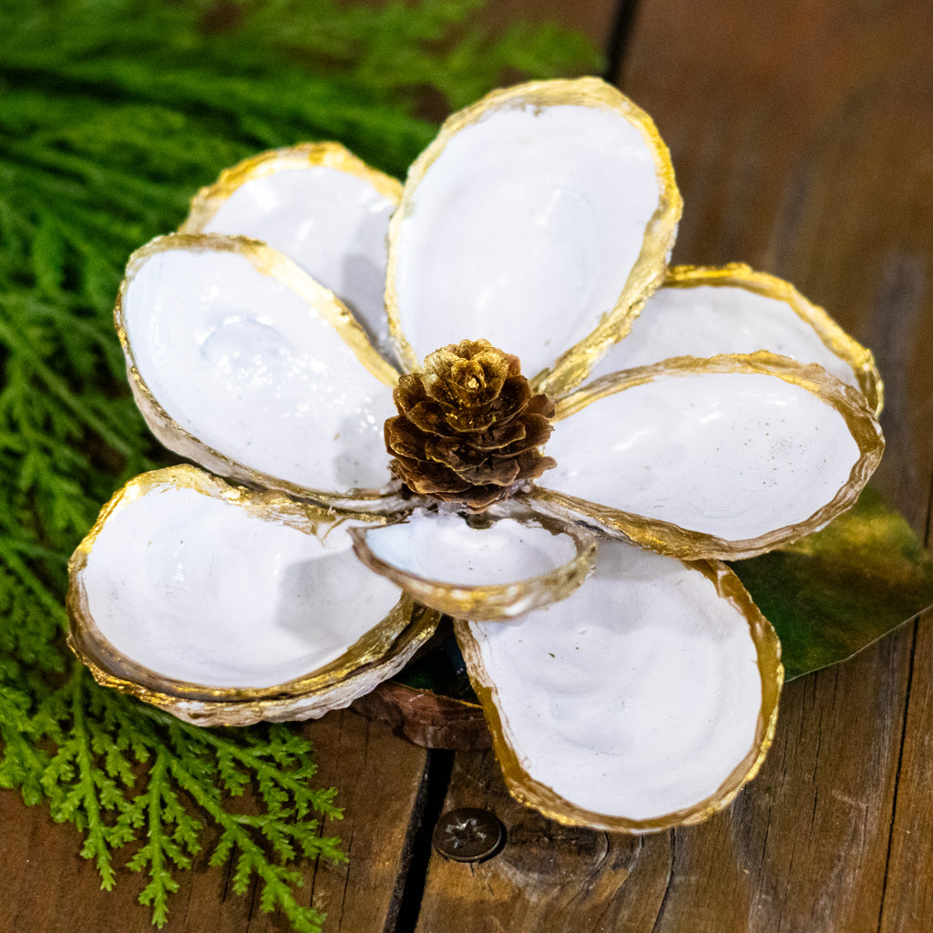 White Oyster Shell Magnolia Flower in Gift Box White