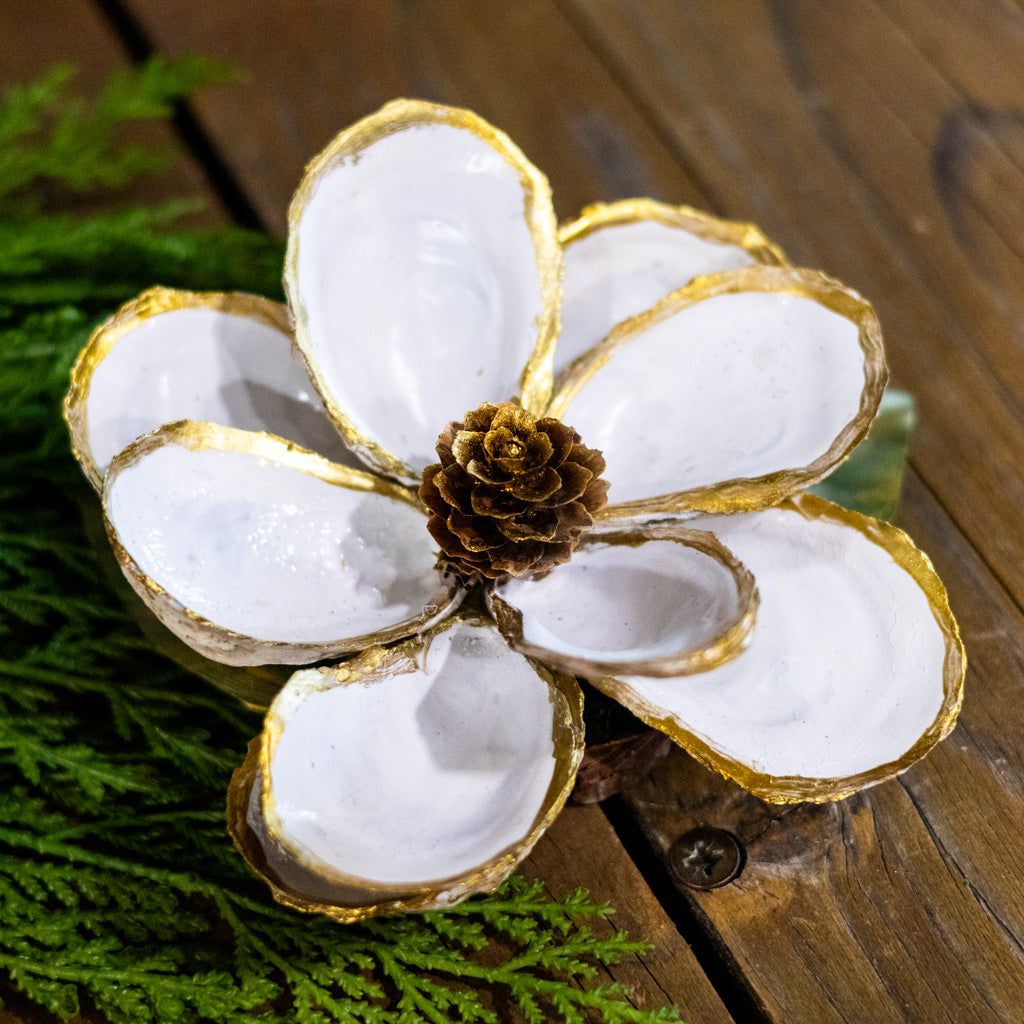 W Oyster Shell Magnolia Flower White