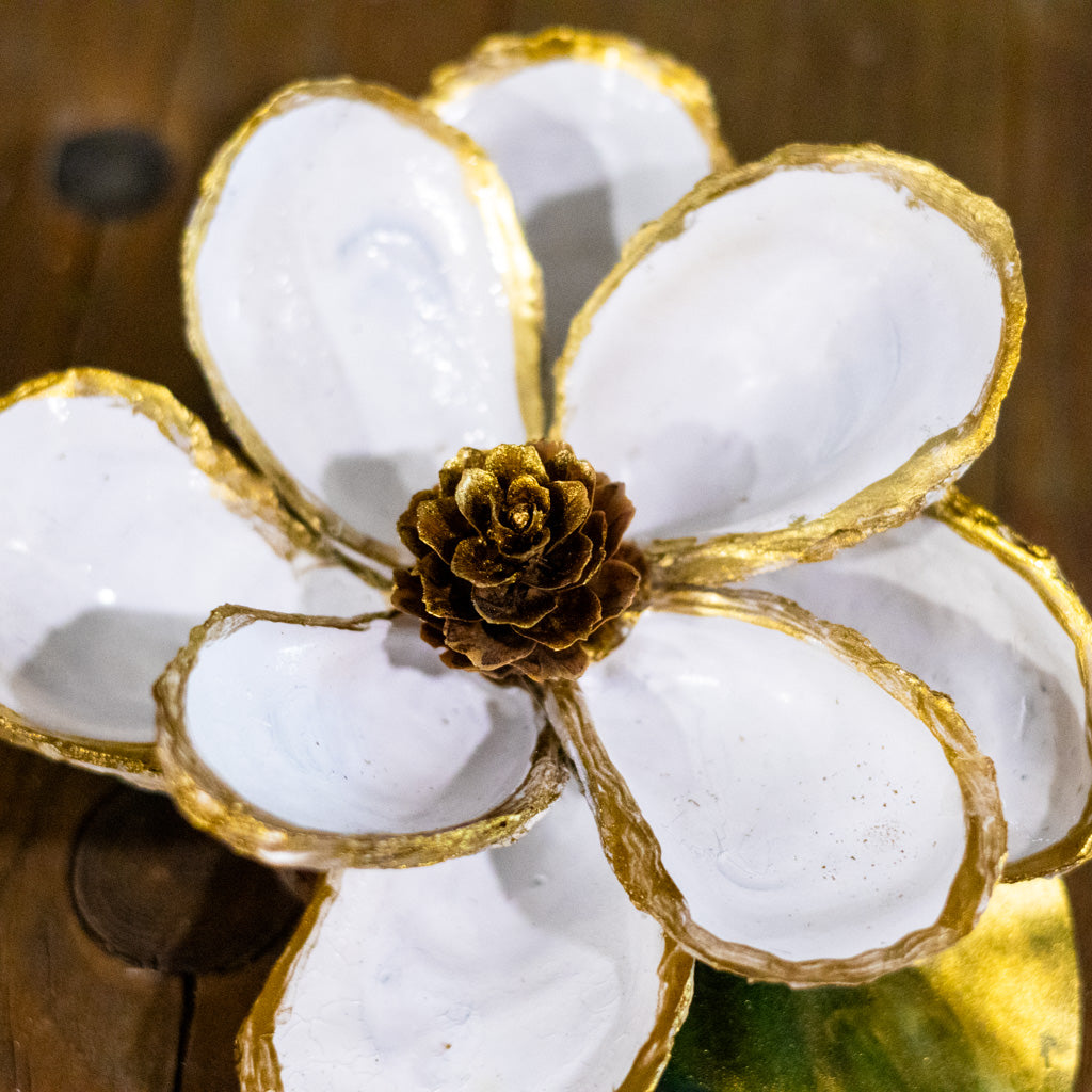 Oyster Shell Magnolia Flower White