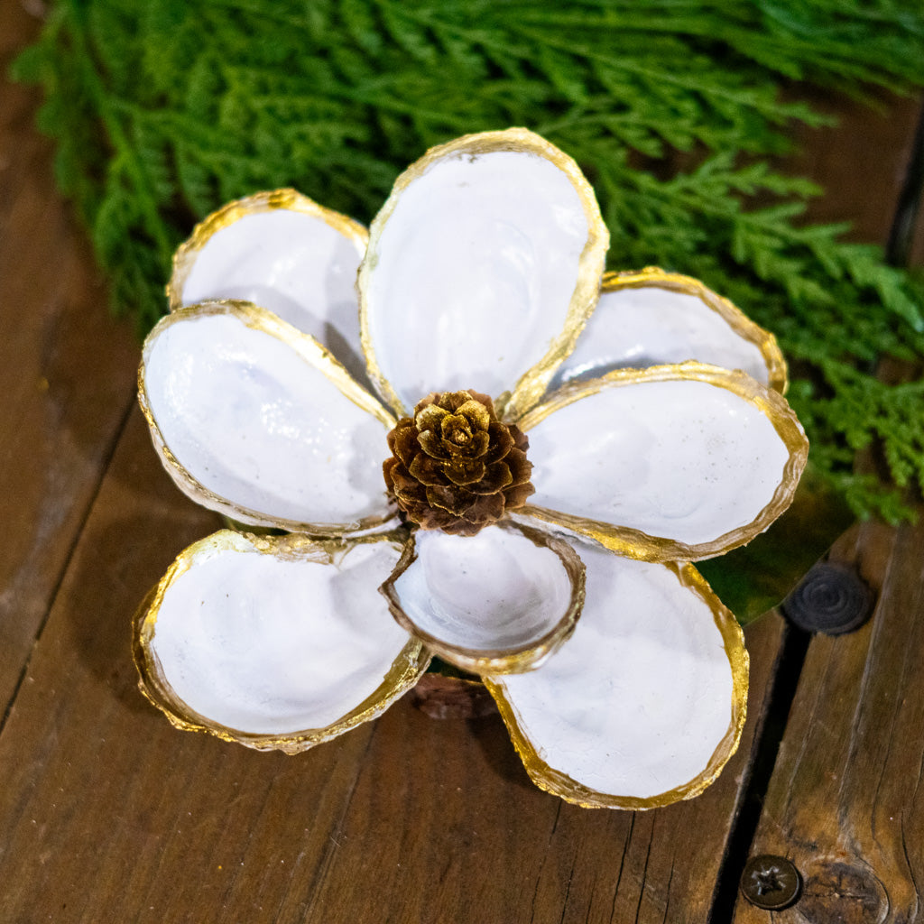 White Oyster Shell Magnolia Flower in Gift Box White