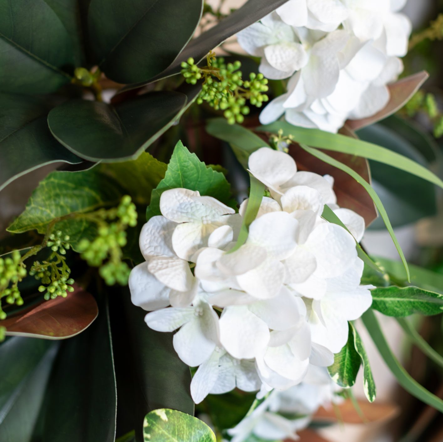 Garden Cut White Hydrangea Down Drop