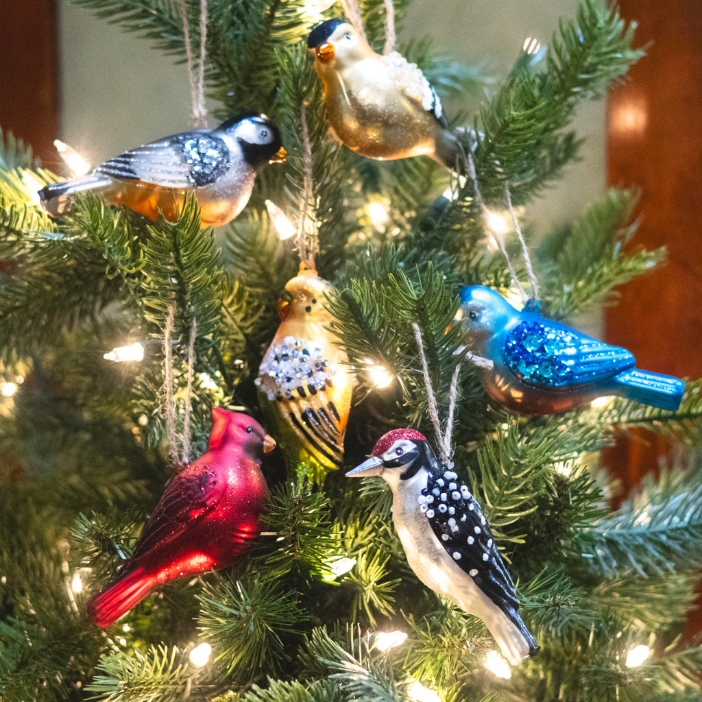 Box of Six Glass Bird Ornaments