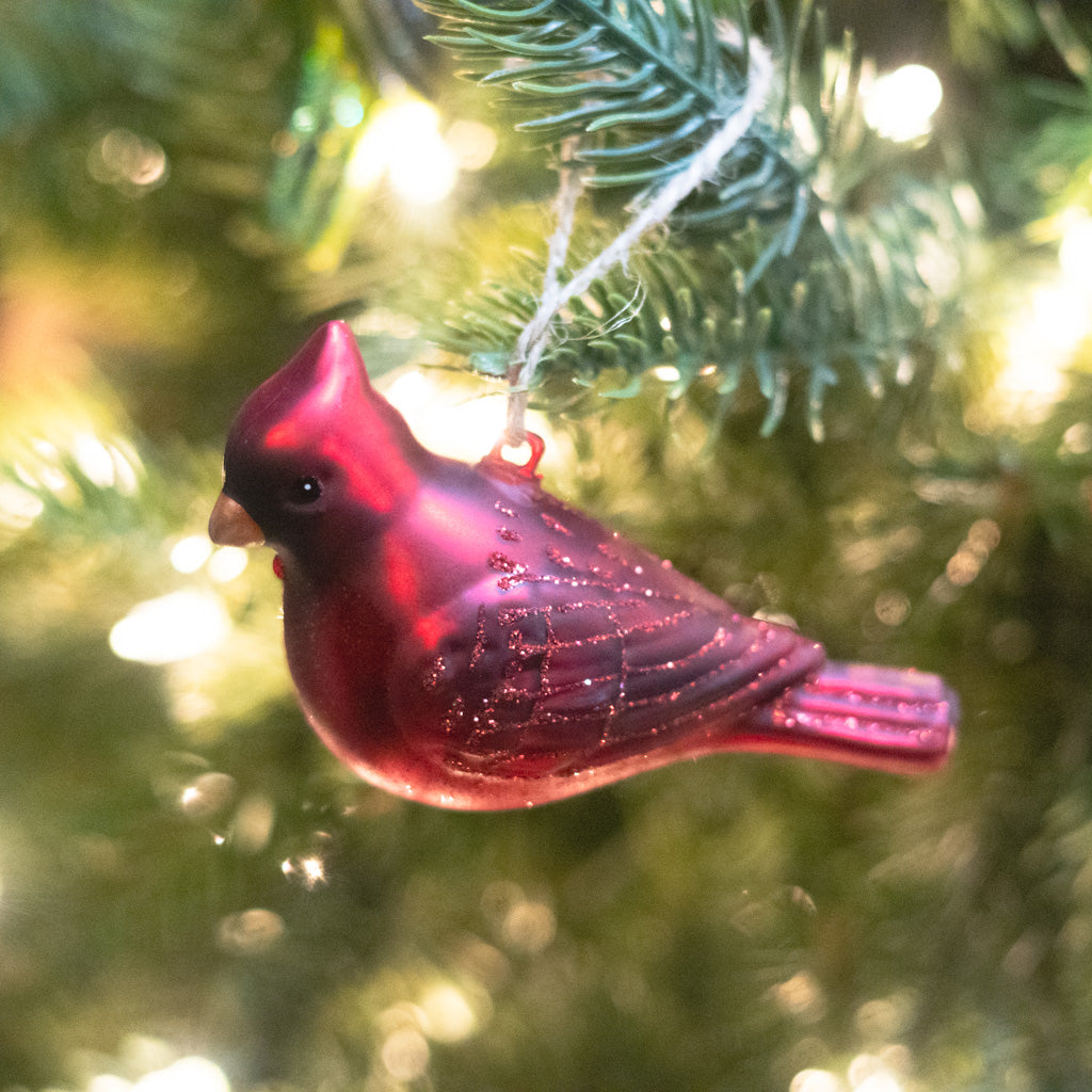 Box of Six Glass Bird Ornaments