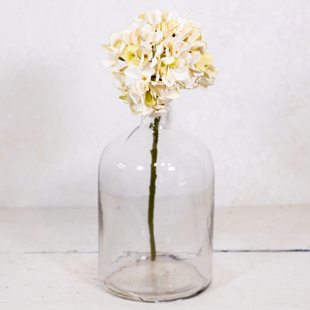 Cream Hydrangea Stem