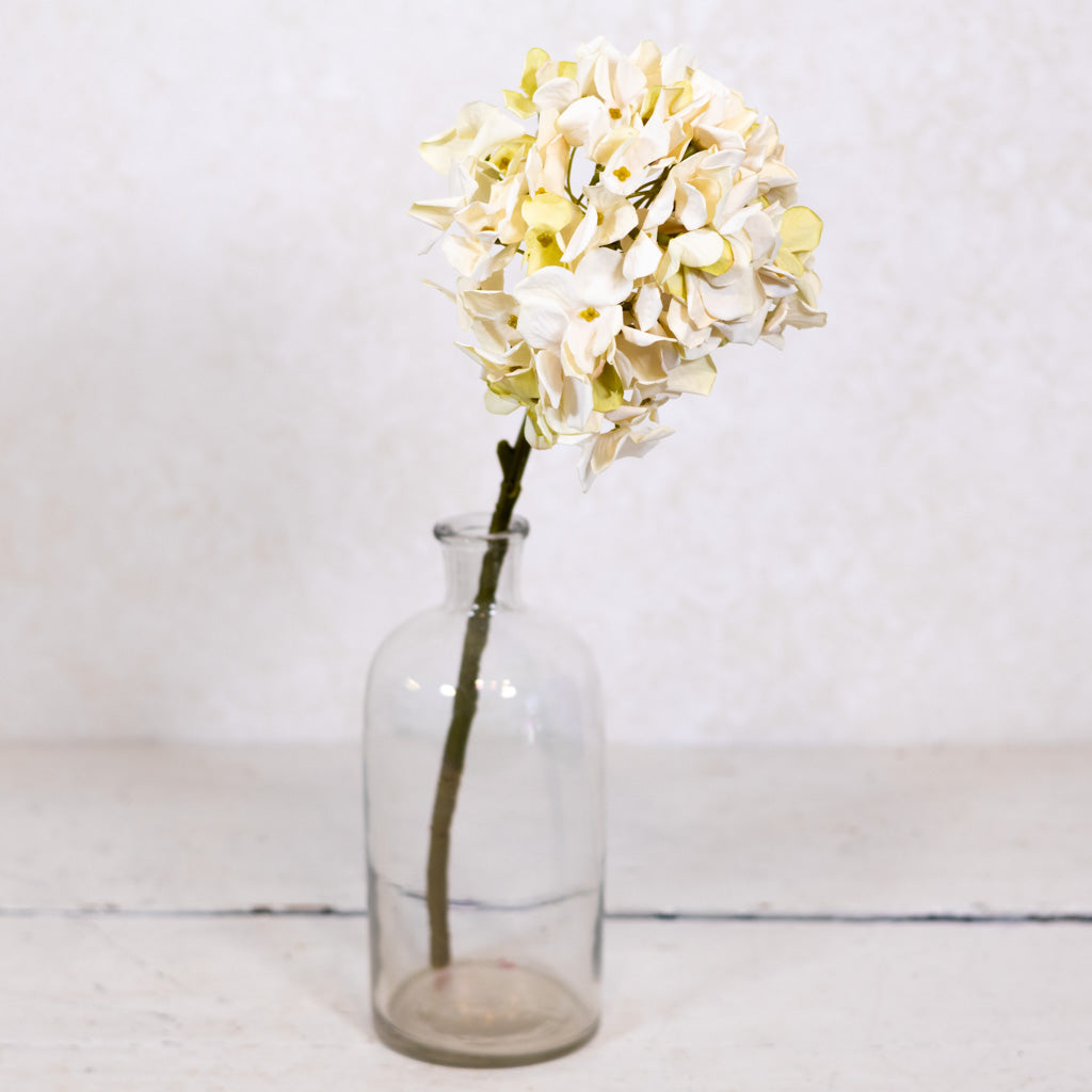 Cream Hydrangea Stem