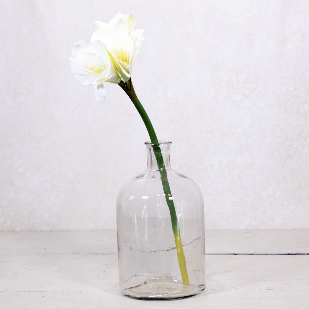 White Amaryllis Stem with Two Blooms and Bud