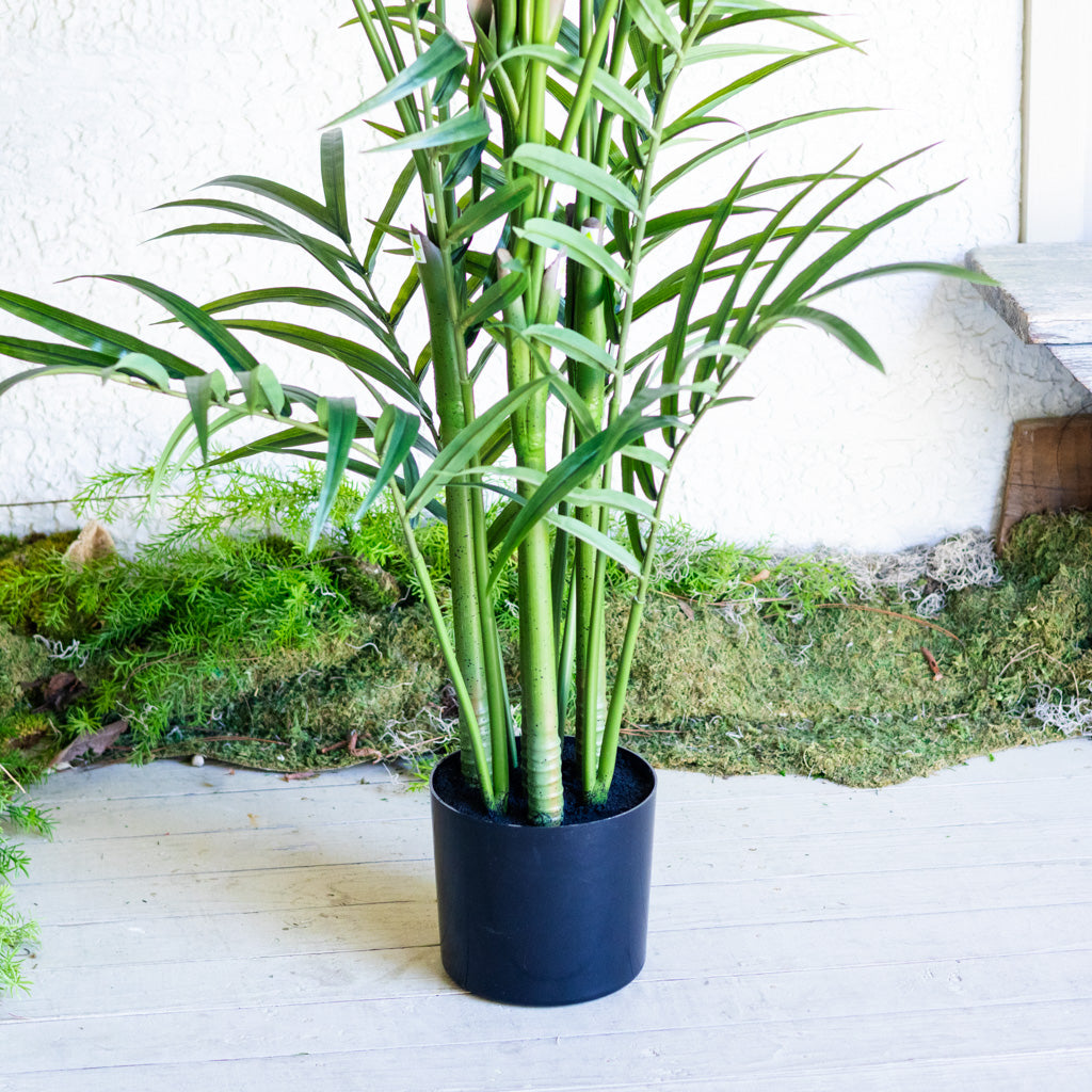82.5" Kentia Palm Tree in Pot