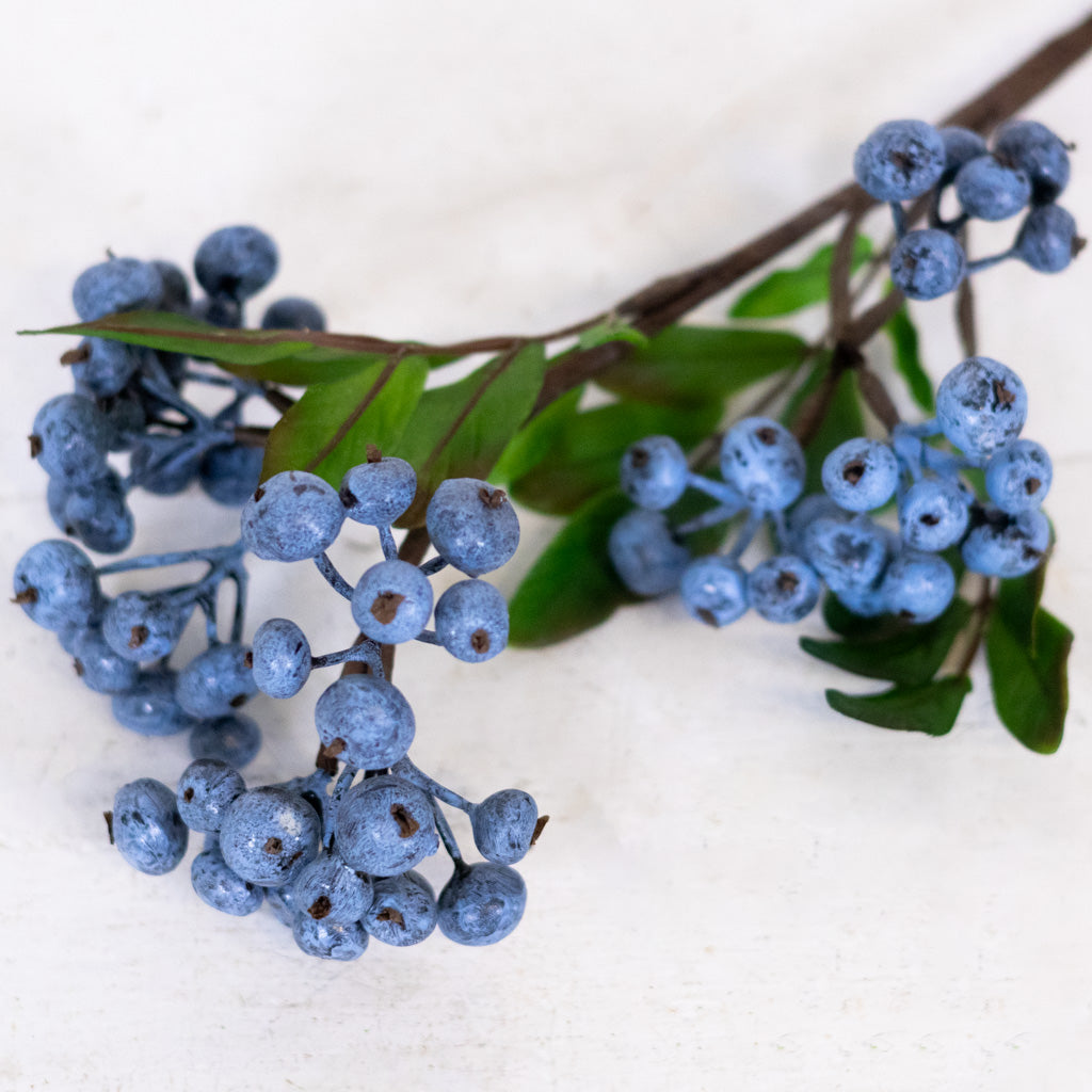 Berry Blue Stem