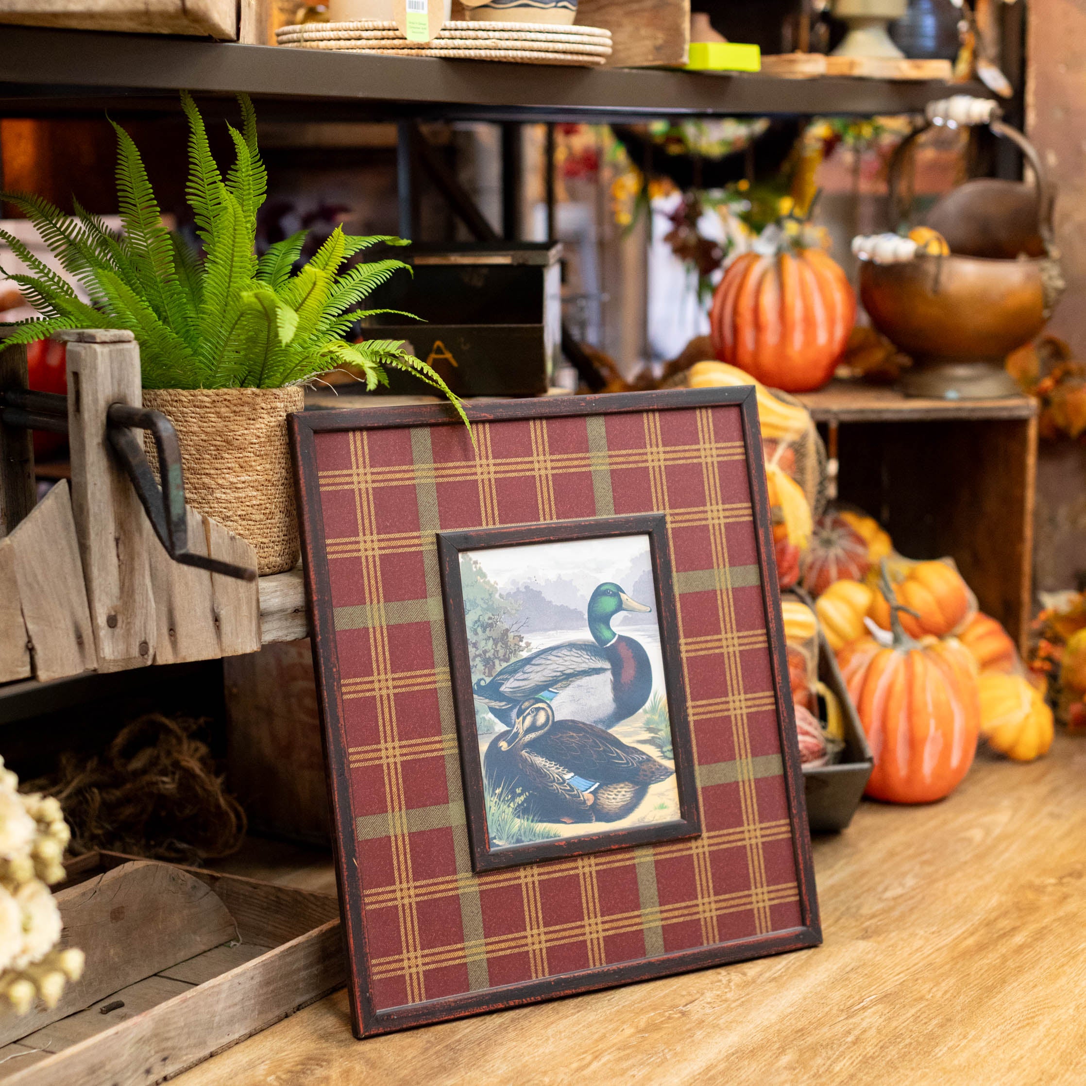Framed Mallard Print on Plaid Heavy Board