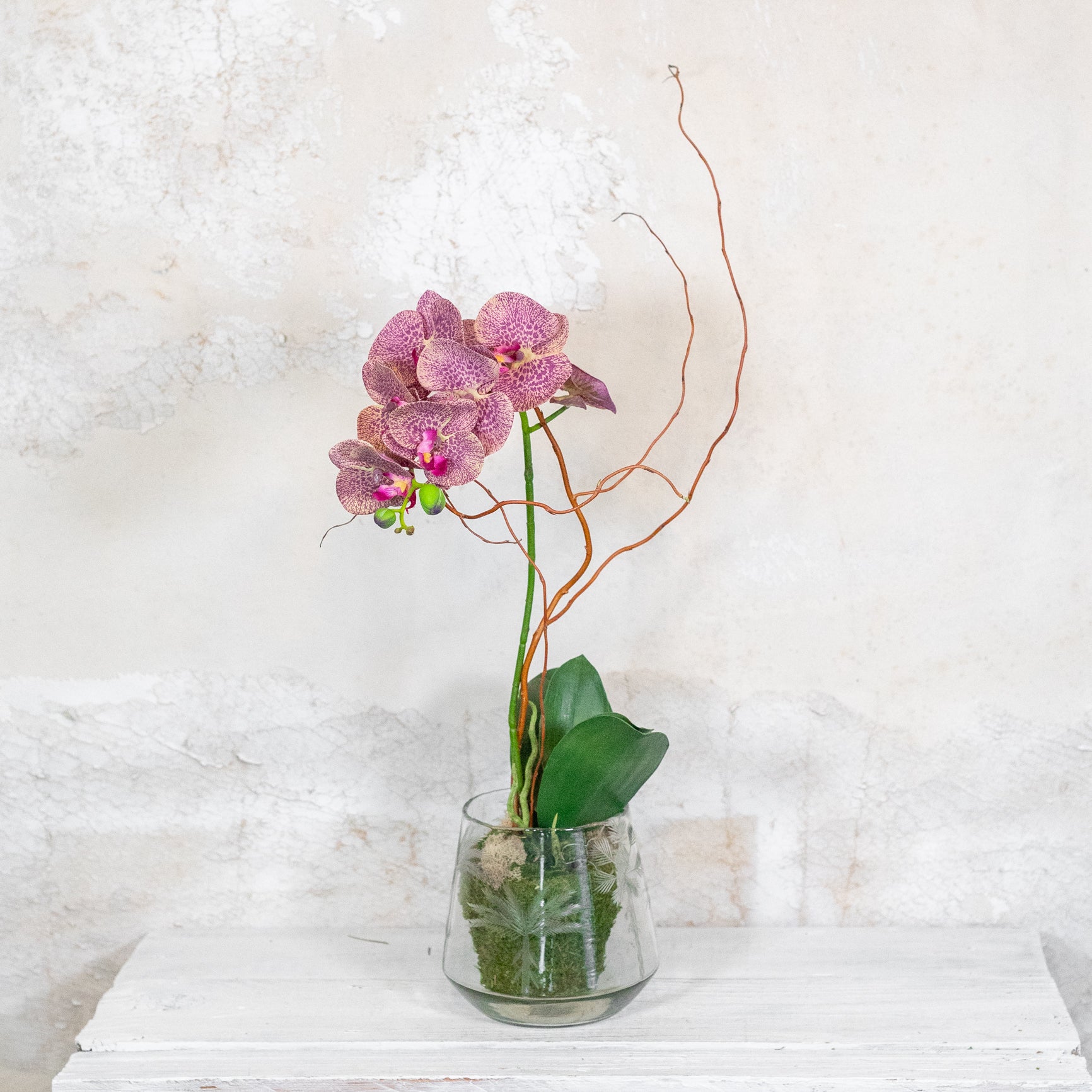 Single Purple Phalaenopsis Orchid Drop In