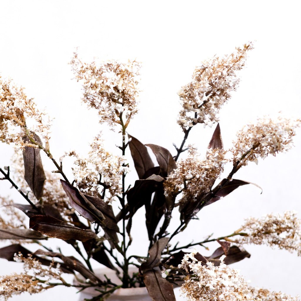 Heather Brown Stem