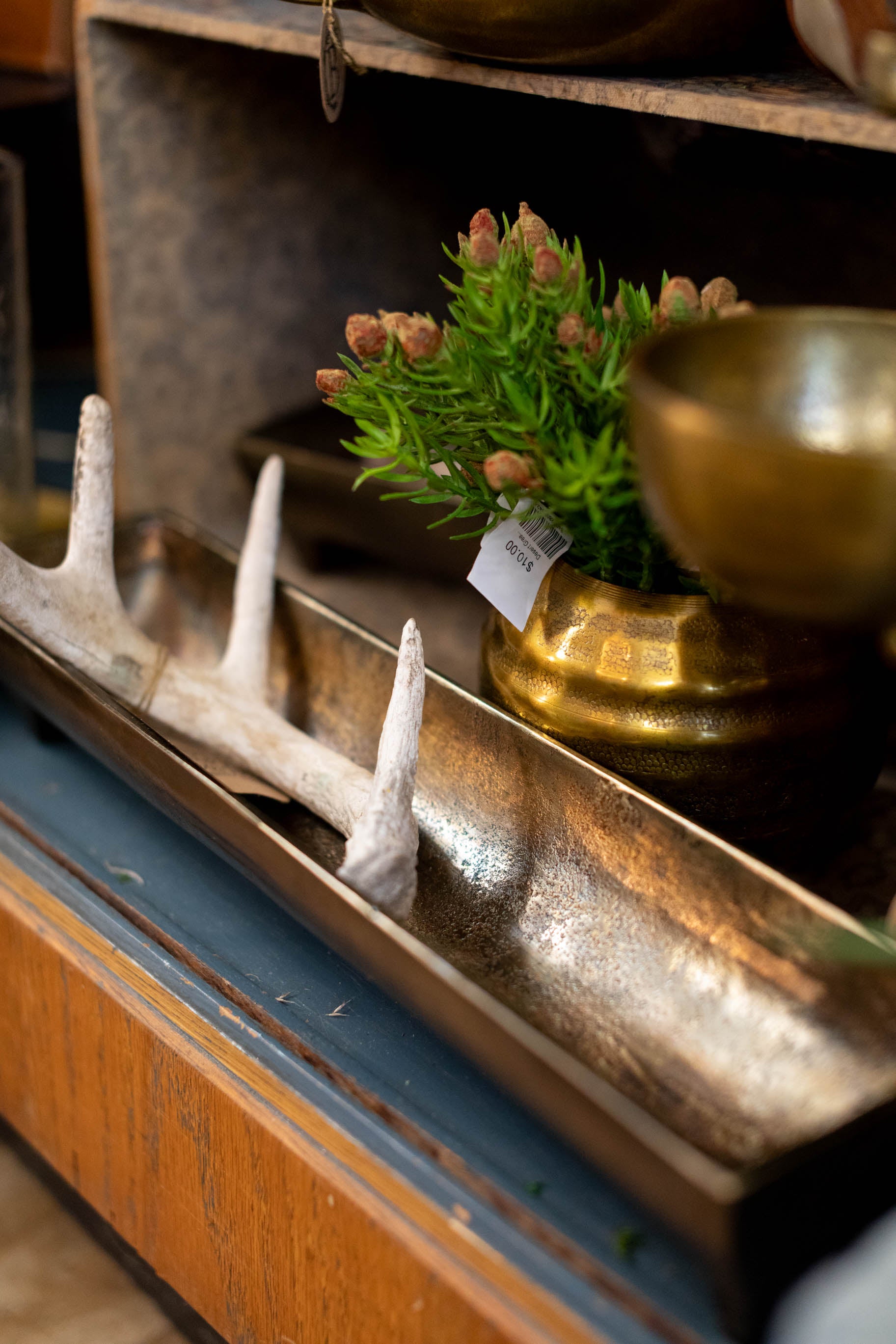 Edison Tray Short
