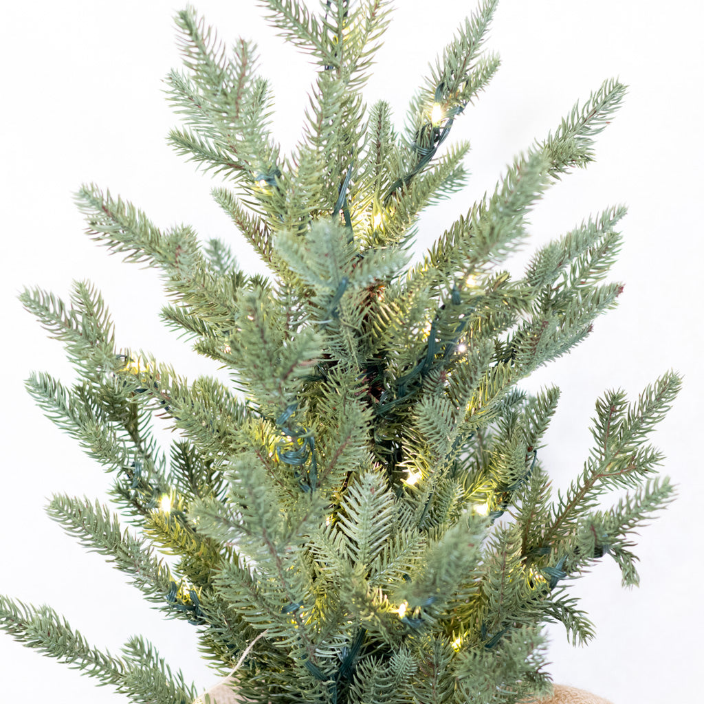2 ft. Pre Lit Spruce Tree in Potted Burlap