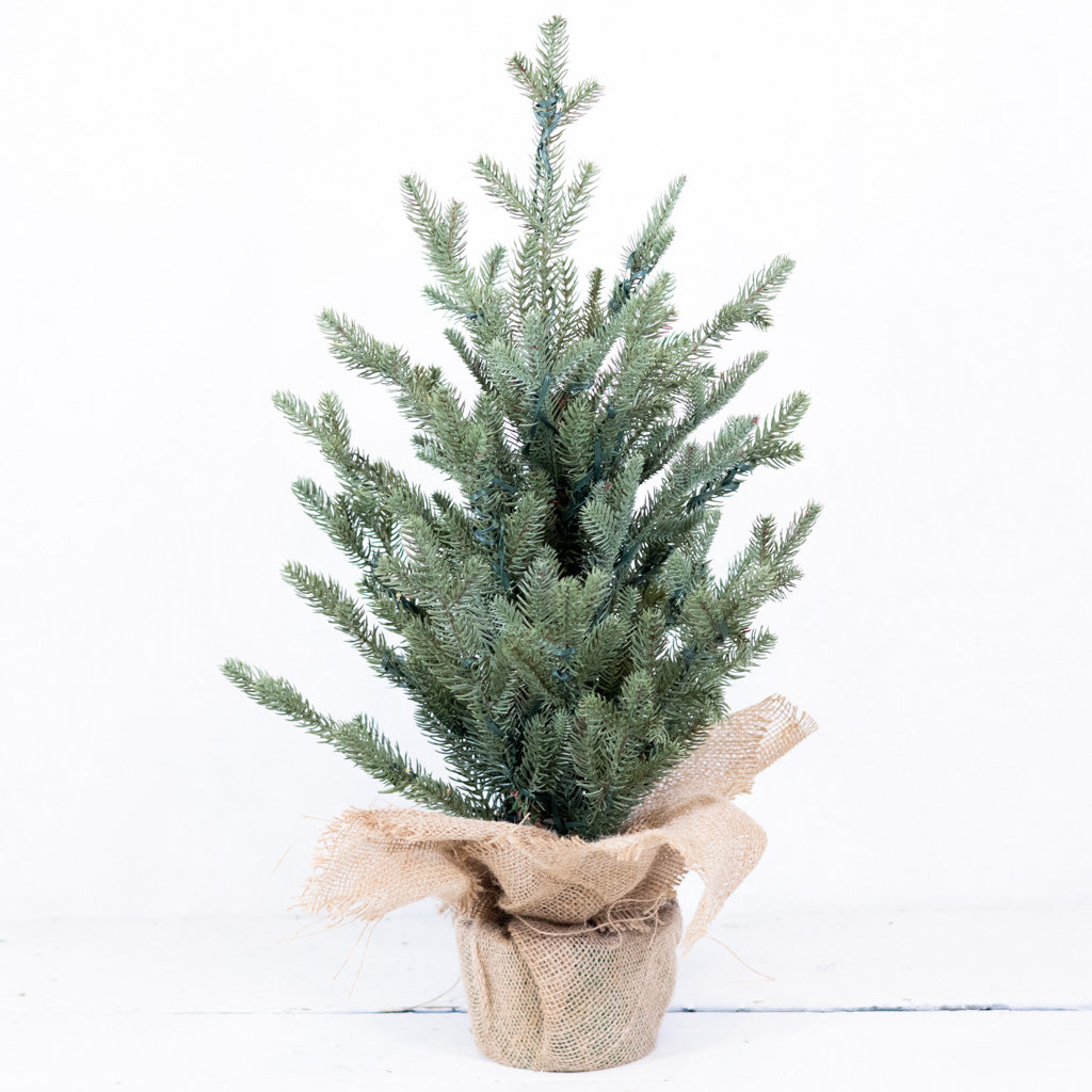 2 ft. Pre Lit Spruce Tree in Potted Burlap