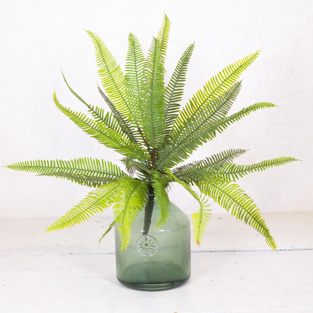 UV Deer Fern Bush Natural Touch