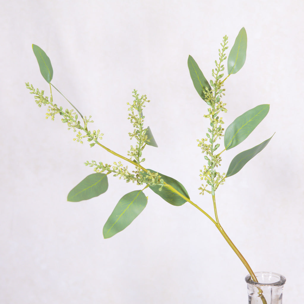 Long Seed Finger Eucalyptus Spray