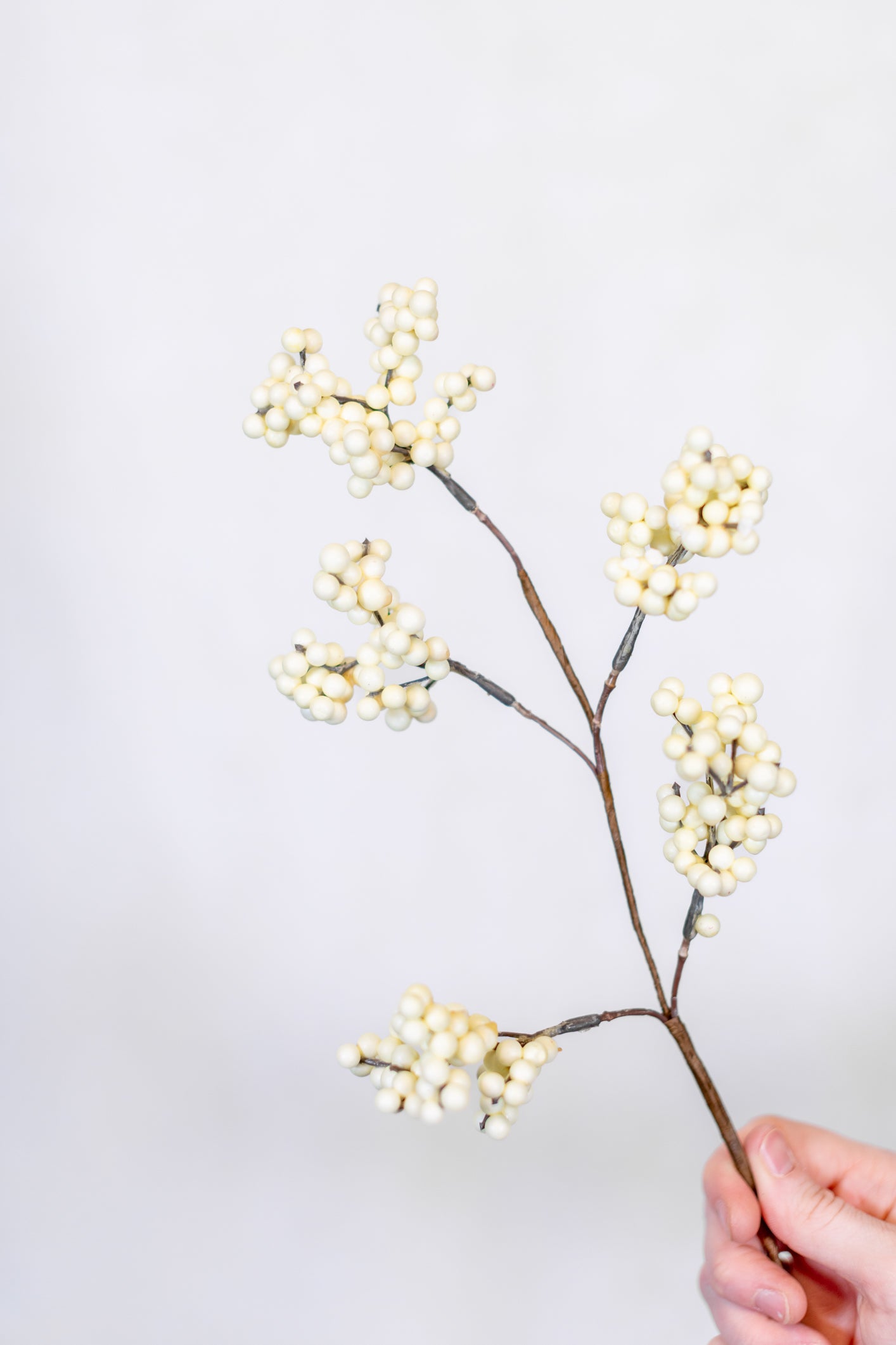Cream Berry Pick Weather Resistant