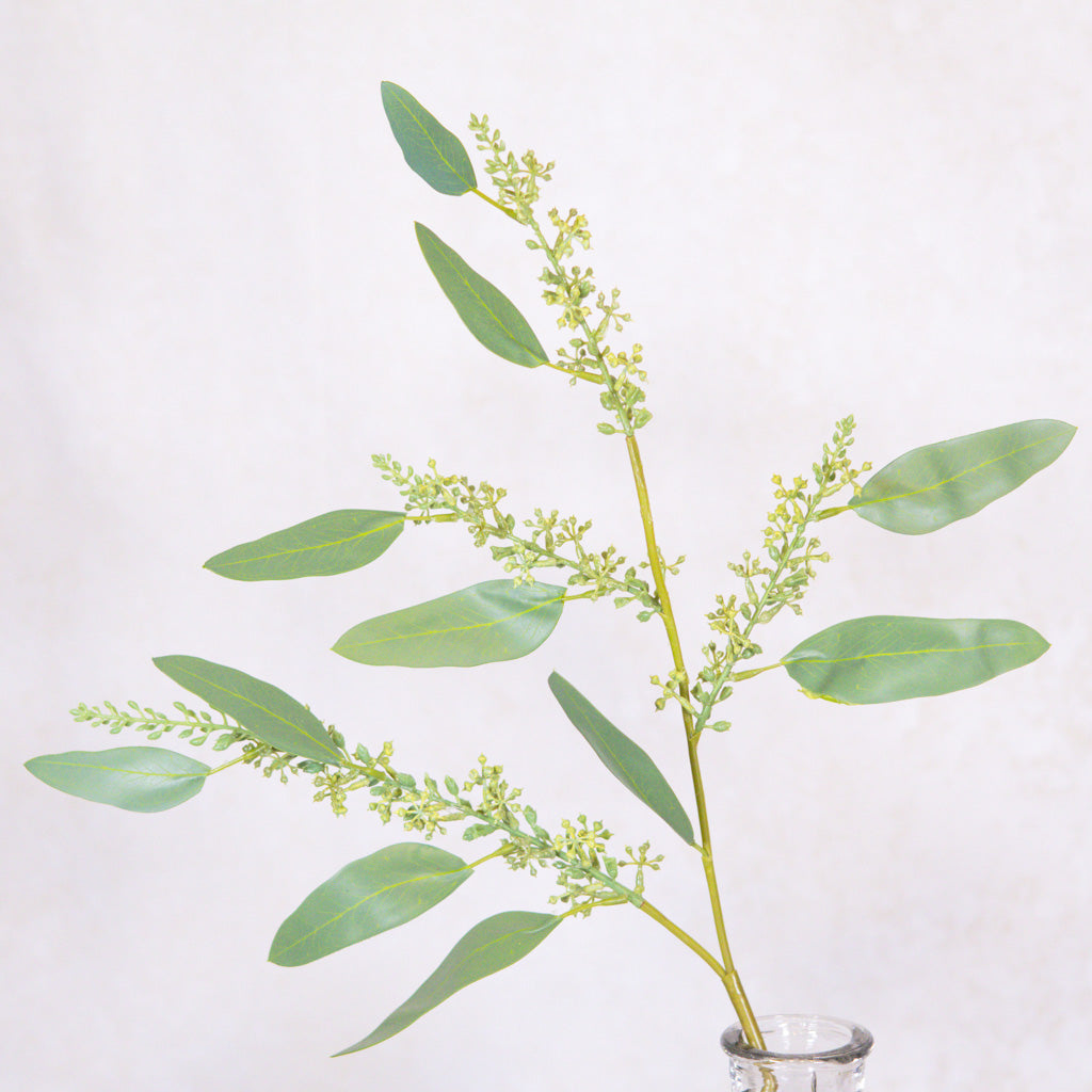 Long Seed Finger Eucalyptus Spray