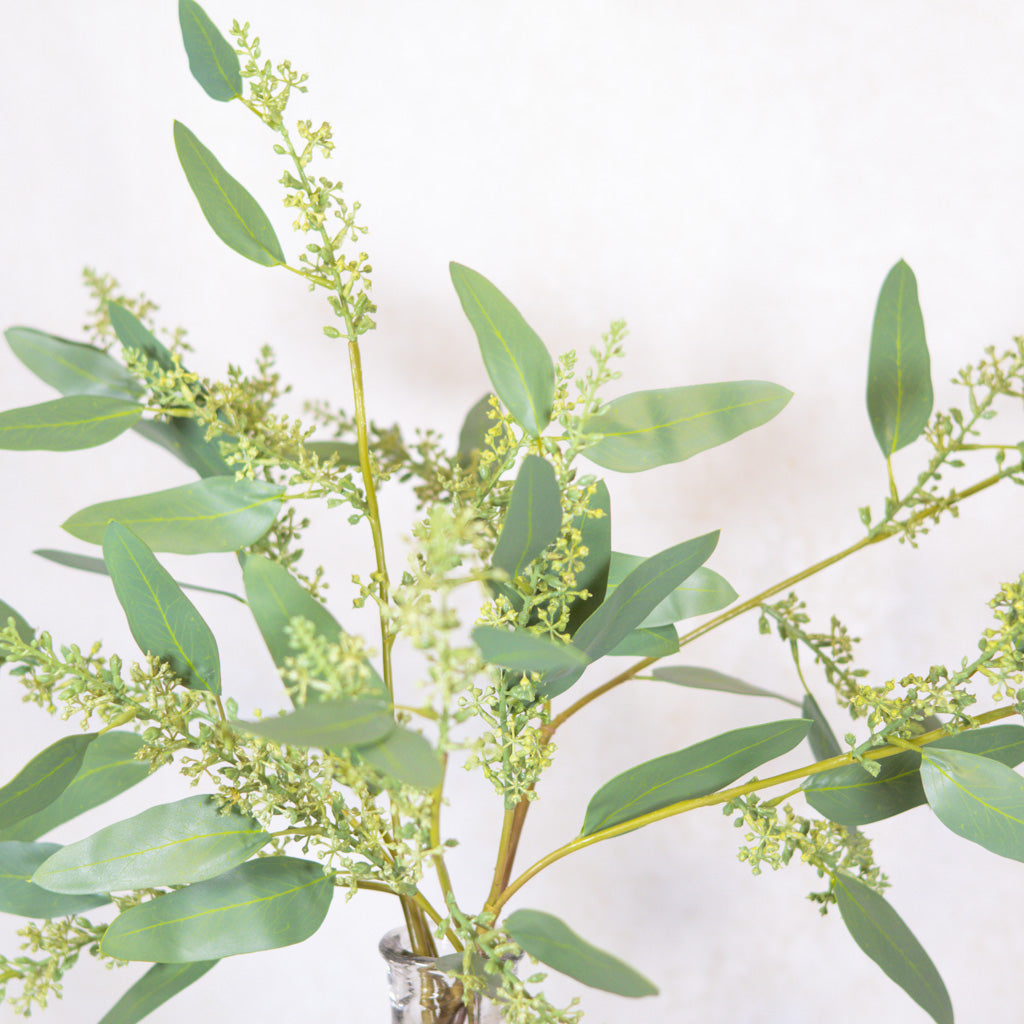 Long Seed Finger Eucalyptus Spray