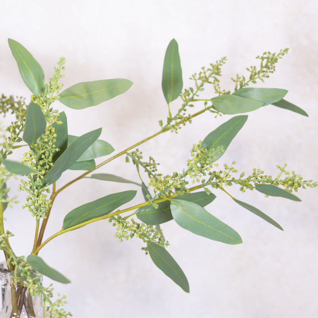 Long Seed Finger Eucalyptus Spray