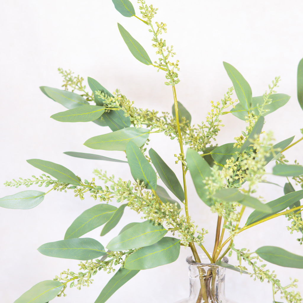 Long Seed Finger Eucalyptus Spray